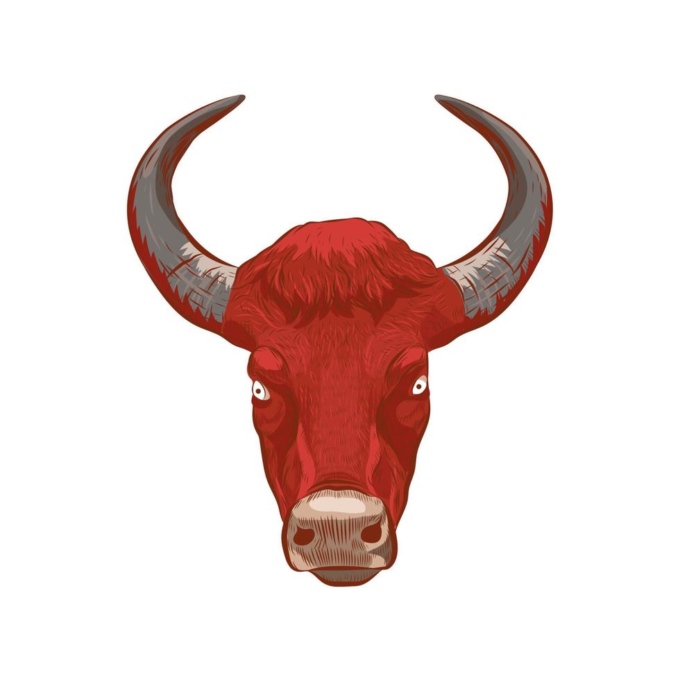 Bull head vector illustration.