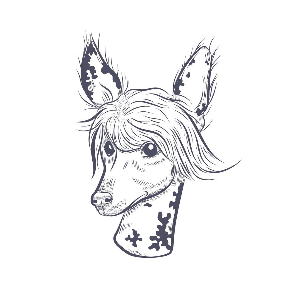 Chinese crested dog hand drawn vector sketch.