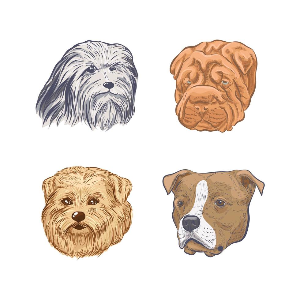 dibujo vectorial de la colección de cabezas de perro. vector
