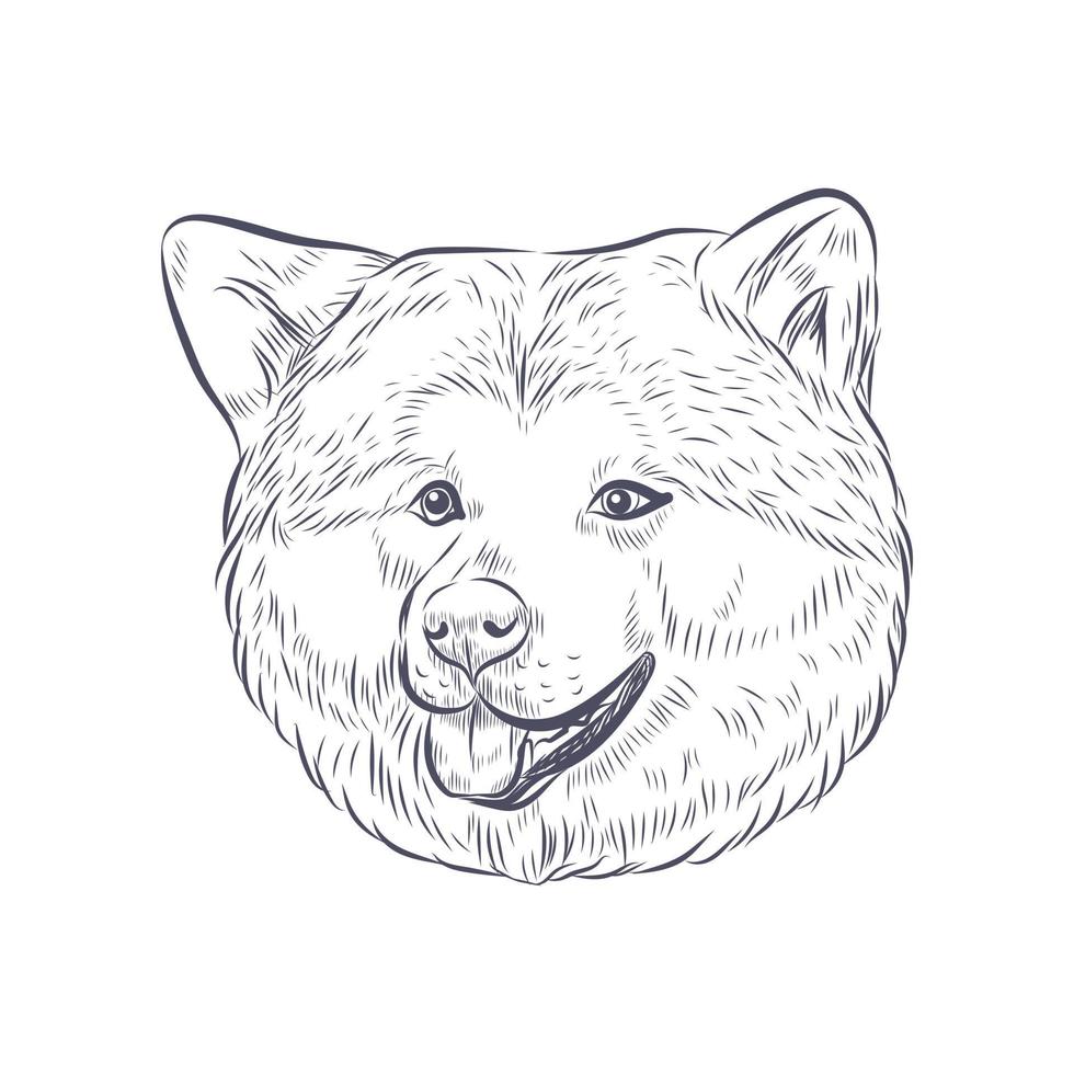 Ilustración de vector de cara de perro hokkaido.