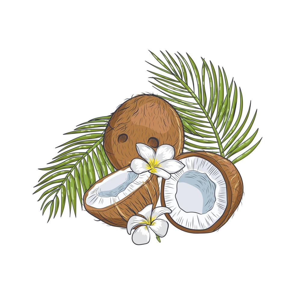 coco marrón con flores tropicales y hojas de primer plano. vector