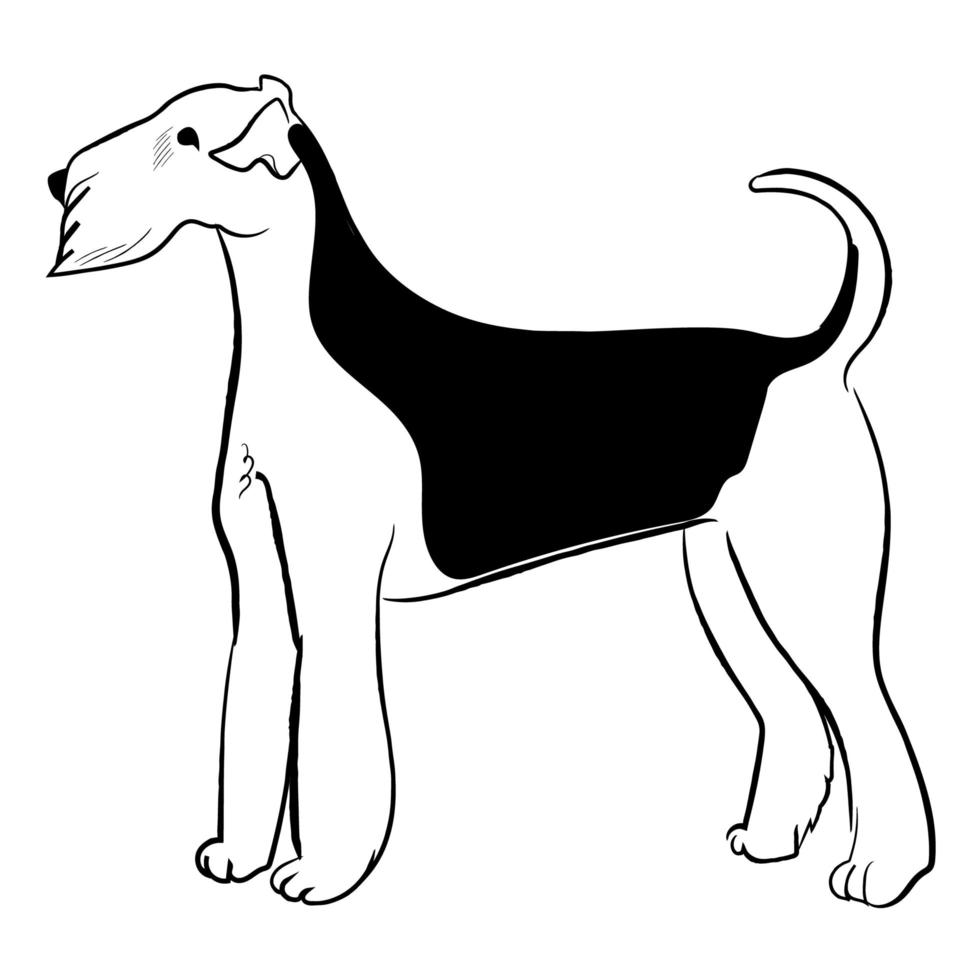 perro airedale terrier aislado sobre fondo blanco. vector