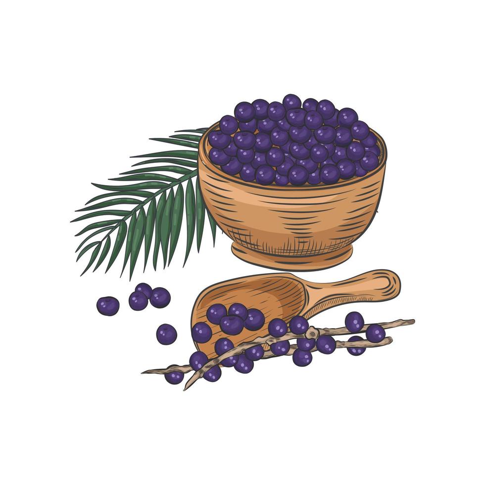 Acai berries close-up isolated on white background. vector