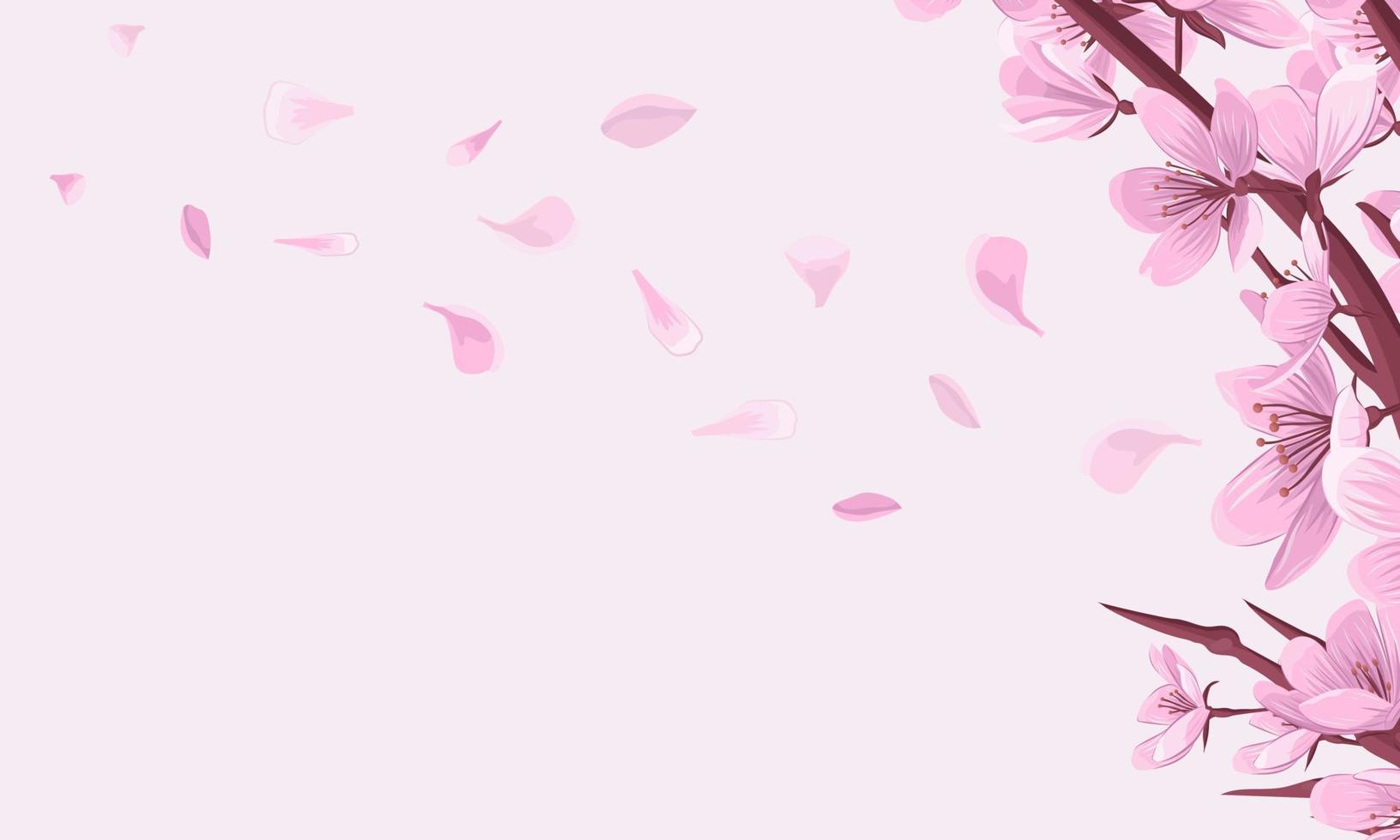 Cherry blossom branch with fallen petals pink vector background.