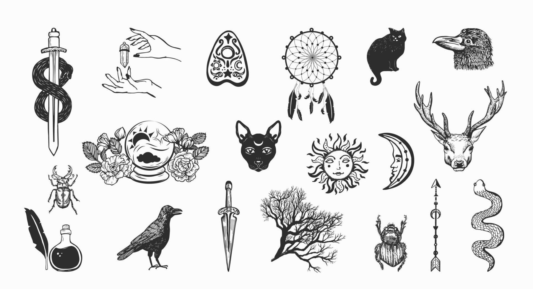 Witchcraft and magic vector collection.