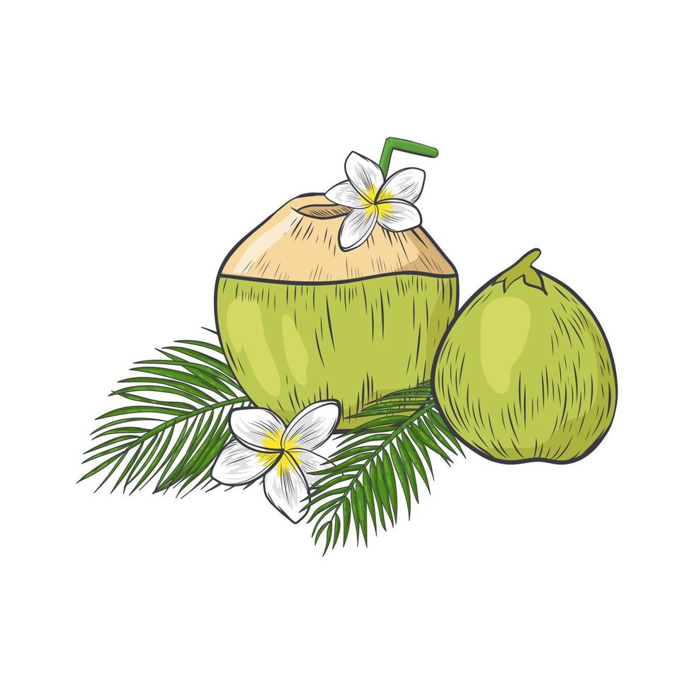 Green coconut with straw to drink milk. 5375981 Vector Art at Vecteezy