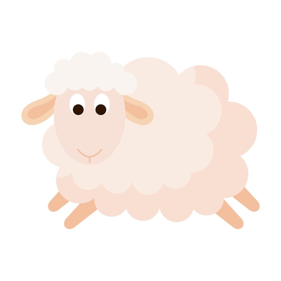 Lindo animal oveja sobre fondo blanco. vector