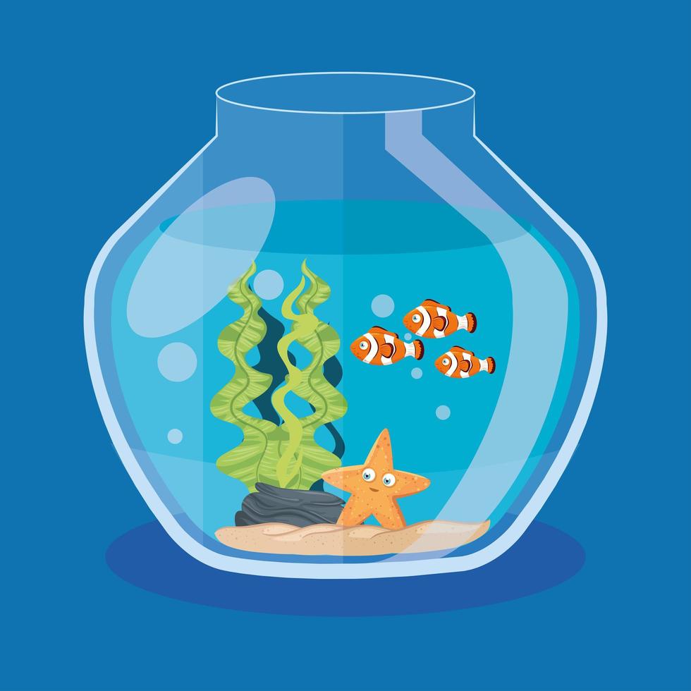 aquarium clownfish and starfish with water, seaweed, aquarium marine pet vector