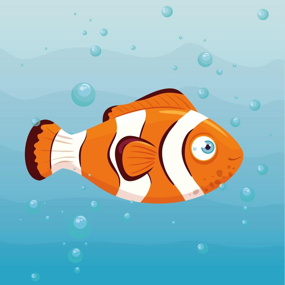 clownfish marine animal in ocean, seaworld dweller, cute underwater creature, undersea fauna vector