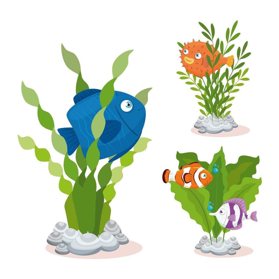 sea underwater life, fishes with seaweed on white background vector