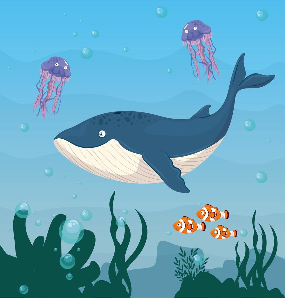 ballena azul y animales marinos salvajes en el océano, habitantes del mundo marino, lindas criaturas submarinas, fauna submarina vector