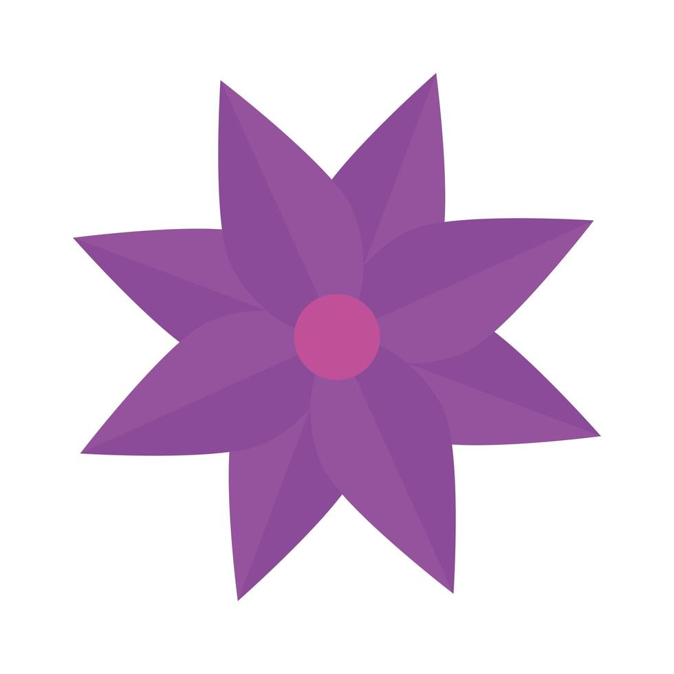 flower purple color, spring concept on white background vector