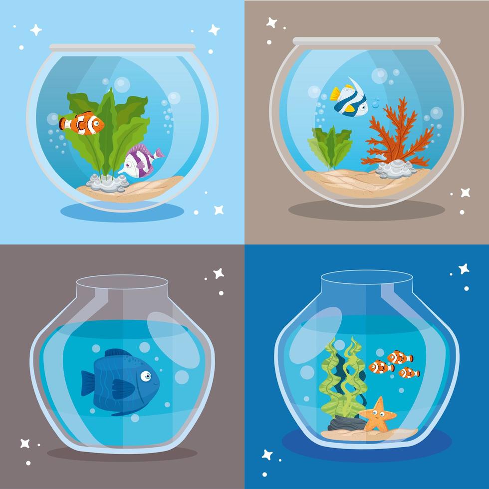 aquariums fishes with water, aquariums marine pets vector