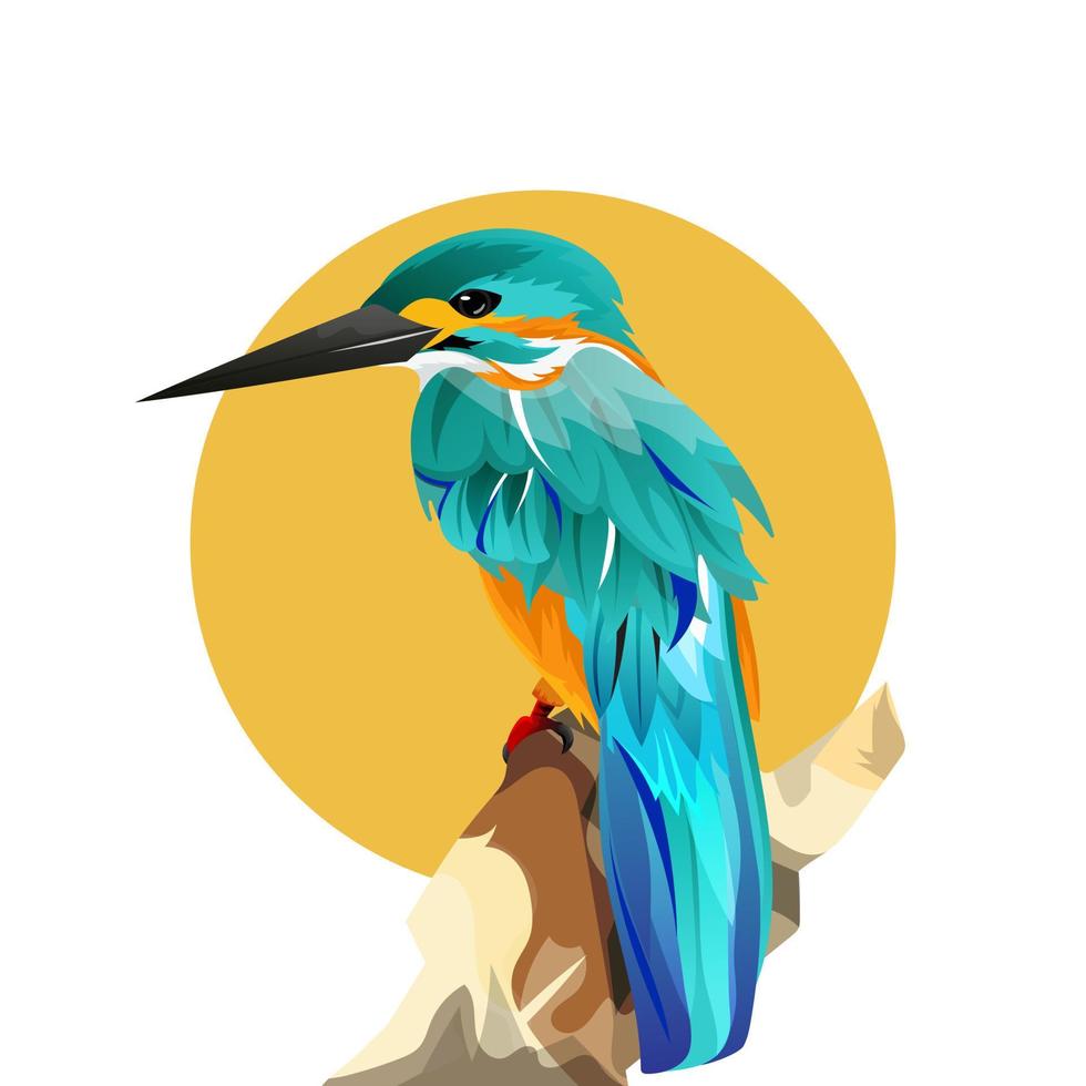 ilustración especie pájaro color exótico en la piel. imágenes de ilustración dibujadas a mano buenas para la decoración de paredes, papel tapiz y elemento de producto de diseño vector