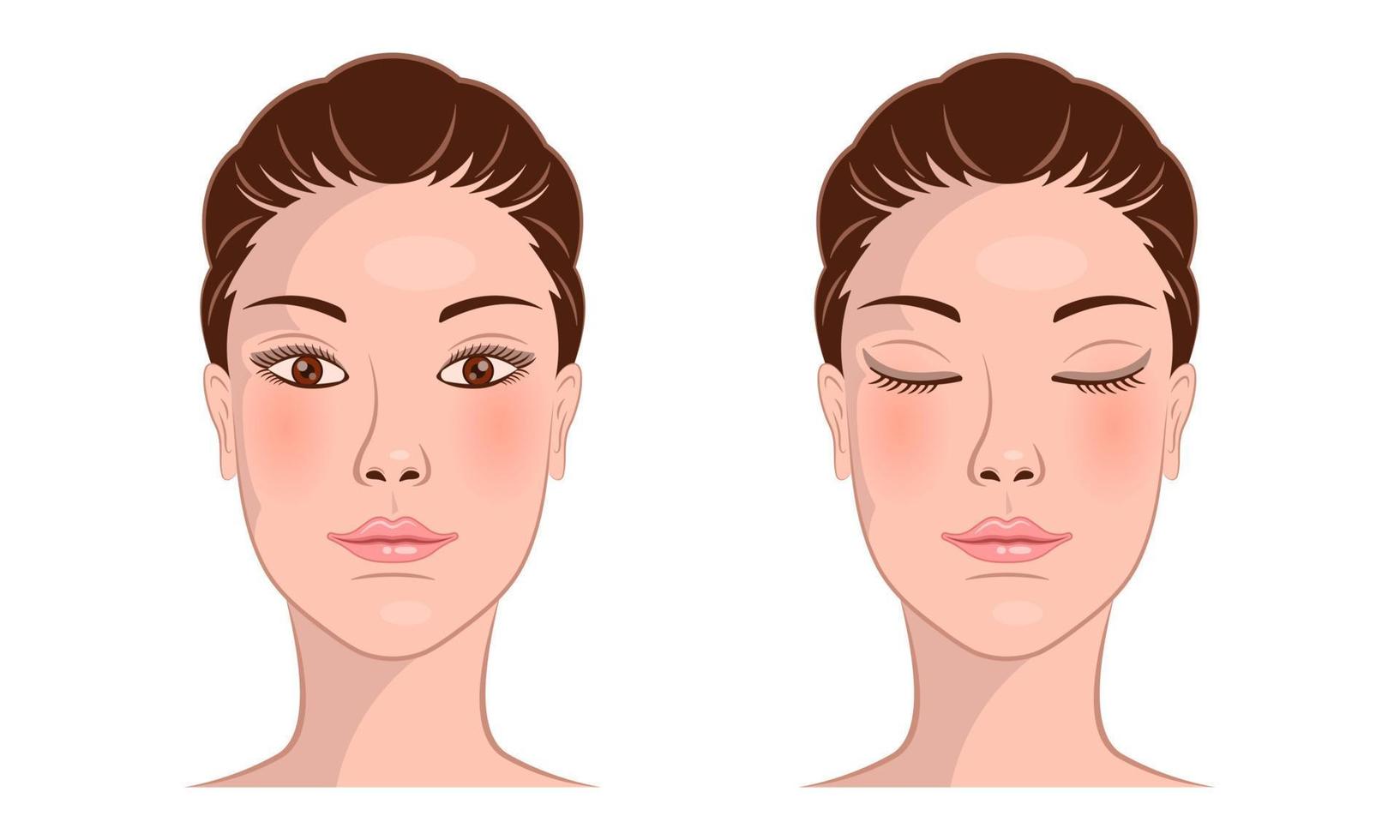 mujer cara vista frontal abrir ojos cerrados vector