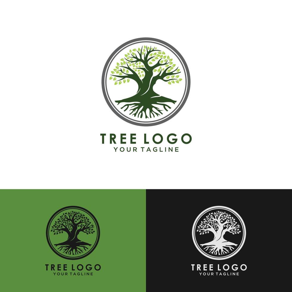 mobileroot de la ilustración del logotipo del árbol. silueta vectorial de un árbol, diseño abstracto del logotipo del árbol vibrante, vector raíz - inspiración del diseño del logotipo del árbol de la vida aislada en el fondo blanco.