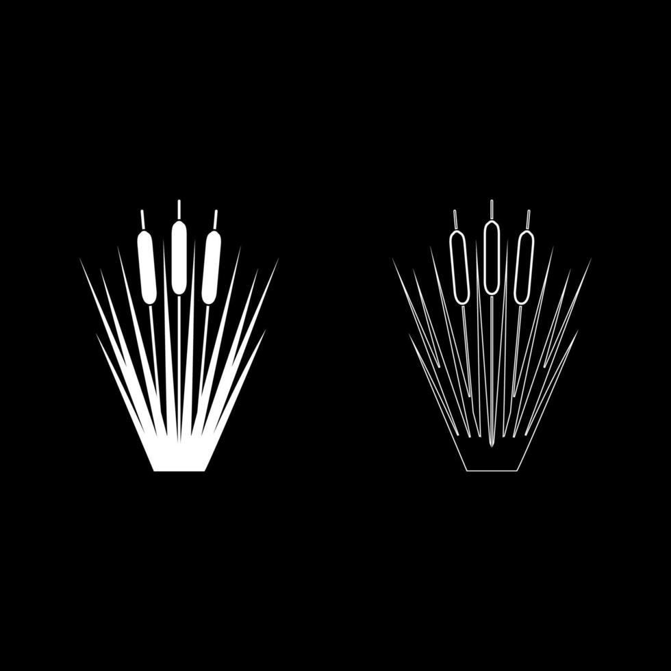 reed junco cañas club-rush ling cane rush conjunto de iconos color blanco vector ilustración imagen de estilo plano