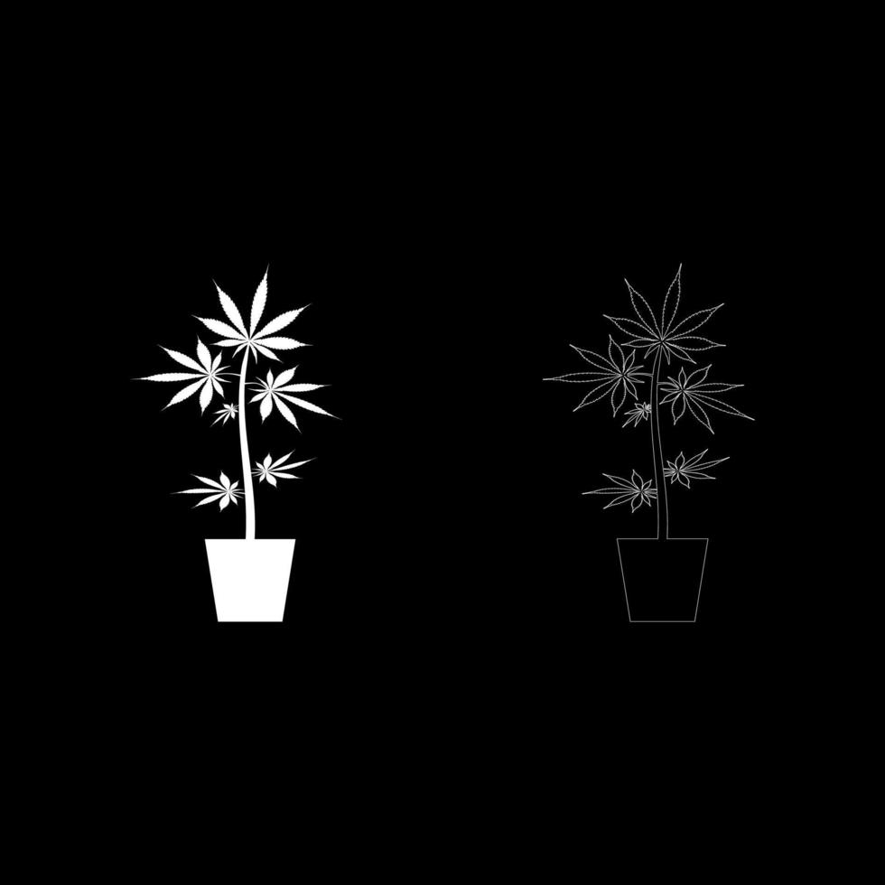 Pot of marijuana Cannabic in pot Hemp icon set white color vector illustration flat style image