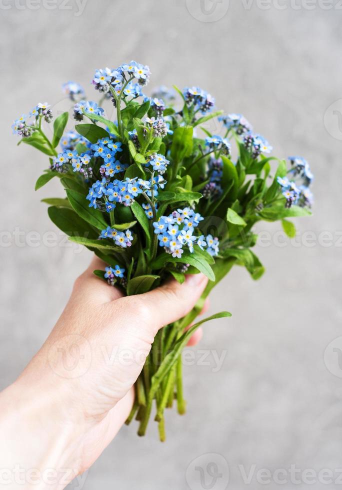 forget me not flowers in hand photo