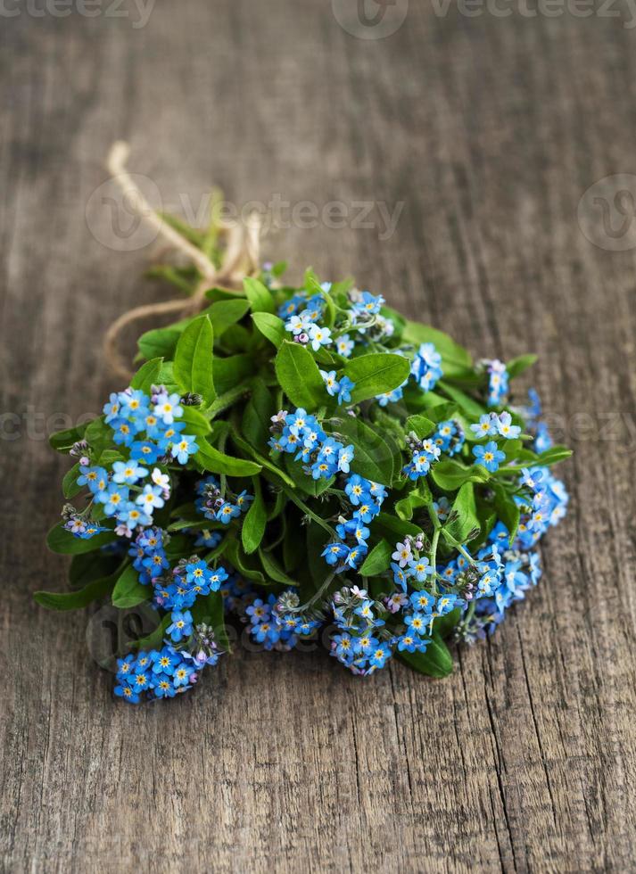 Forget me nots flowers photo