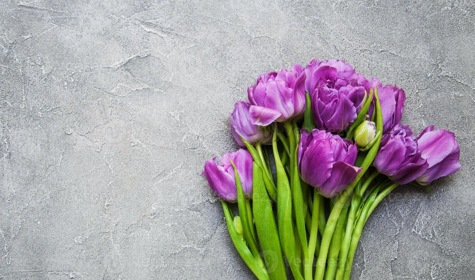 flores de tulipanes de primavera foto