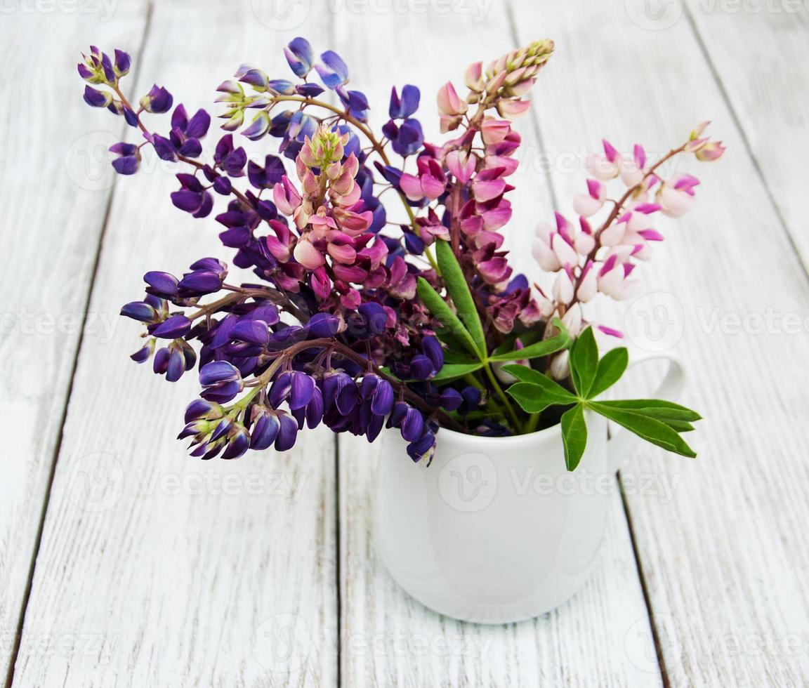 lupines in the vase photo