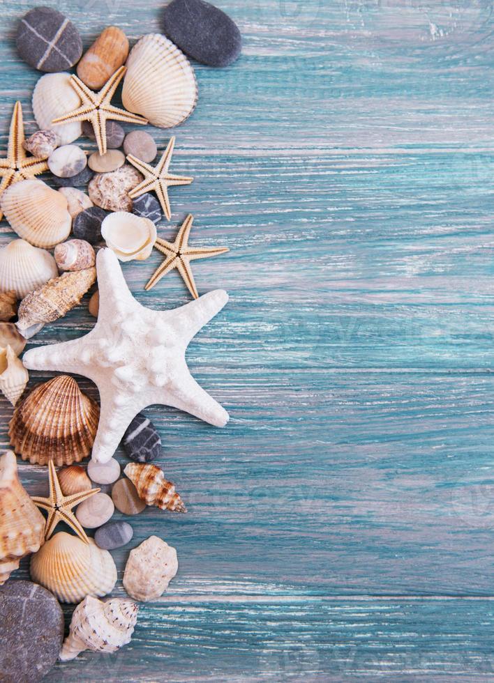 sea shells on a  wooden table photo
