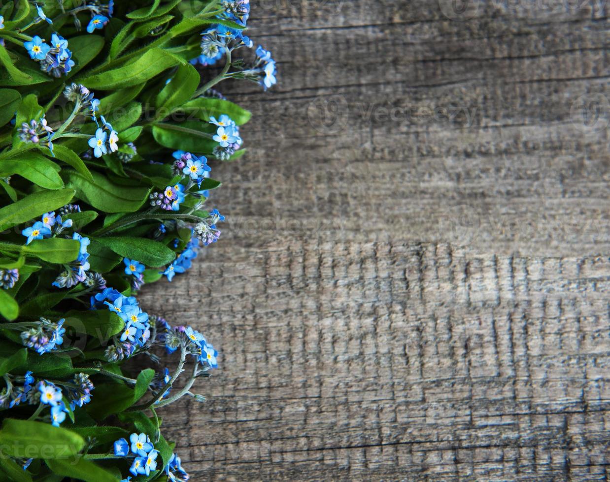 Forget-me-nots flowers border photo