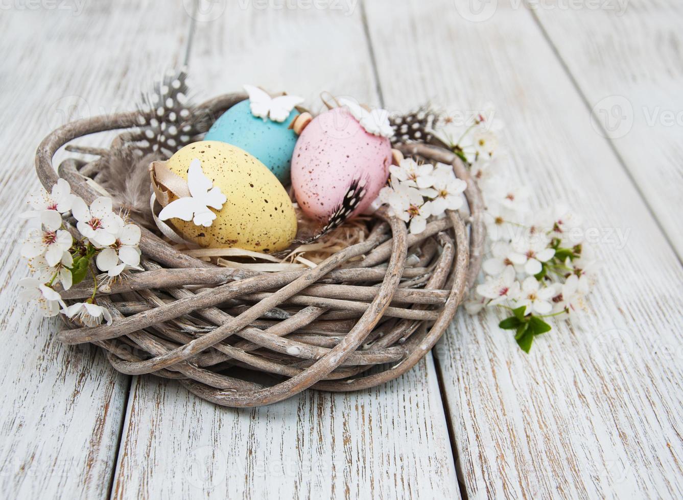 Easter eggs and spring  blossom photo