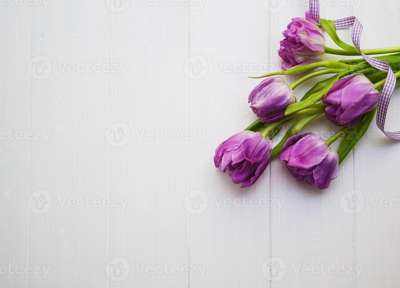 Spring tulip flowers photo