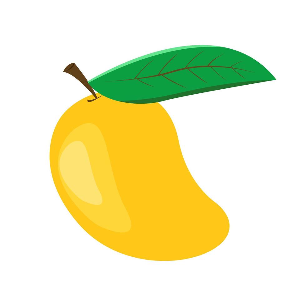 mango aislado sobre fondo blanco. ilustración vectorial vector