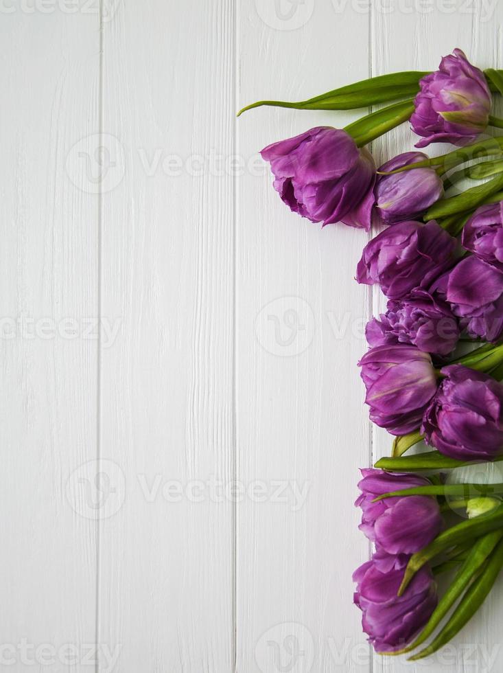 Spring tulip flowers photo