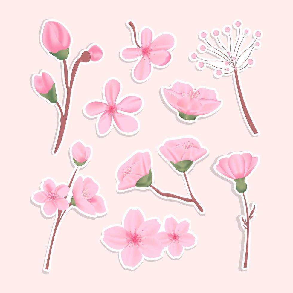 Beautiful Cherry Blossom Collection vector