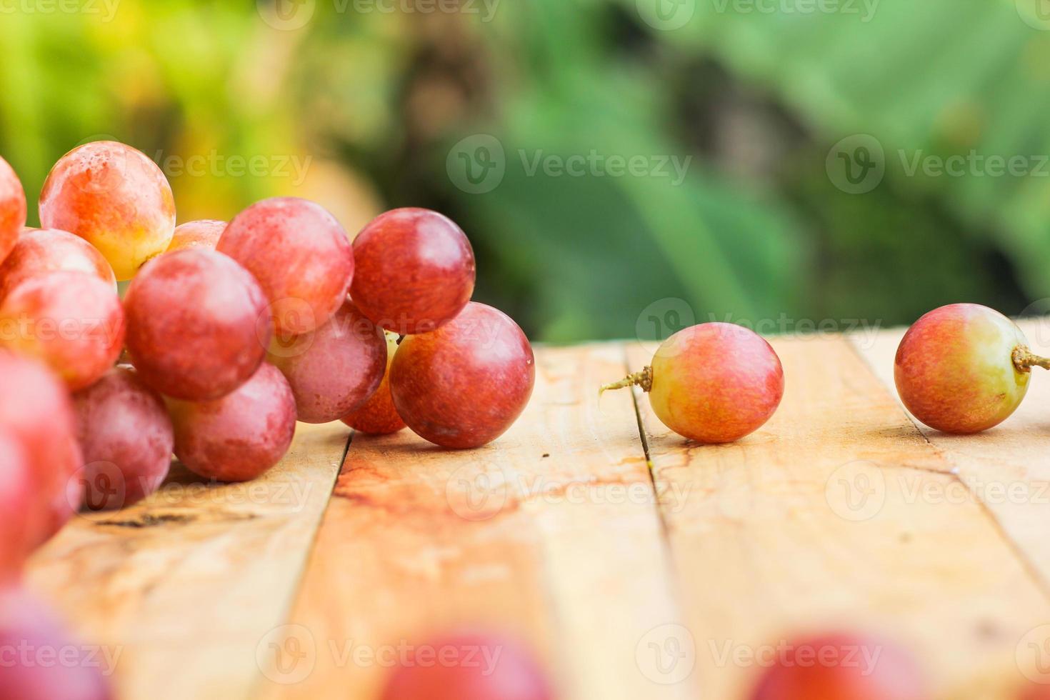 racimo de uvas rojas foto