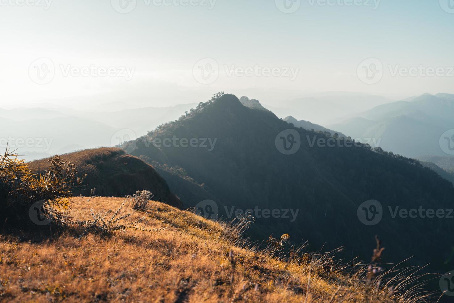 morning light and mountains,mountains in summer morning and spring flowers photo