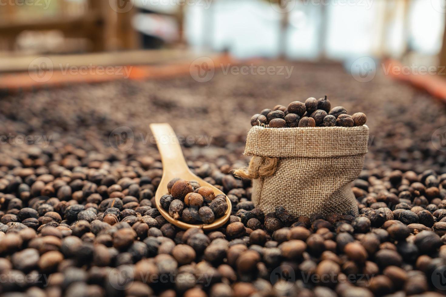 los granos de café se secan en el invernadero. foto