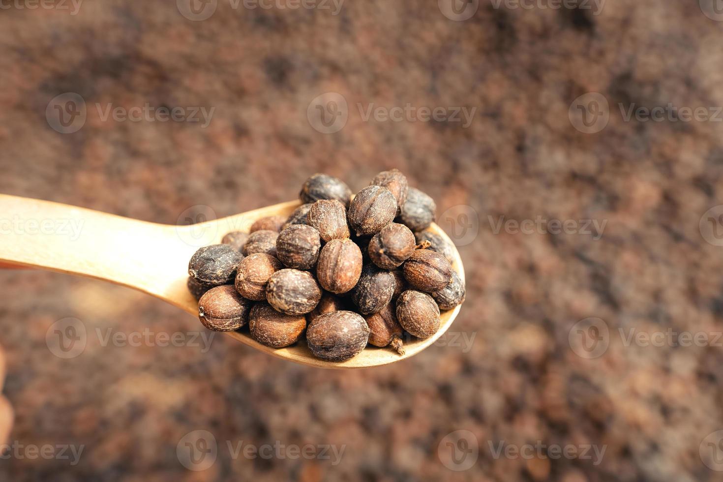 Coffee beans are dried in the greenhouse. photo