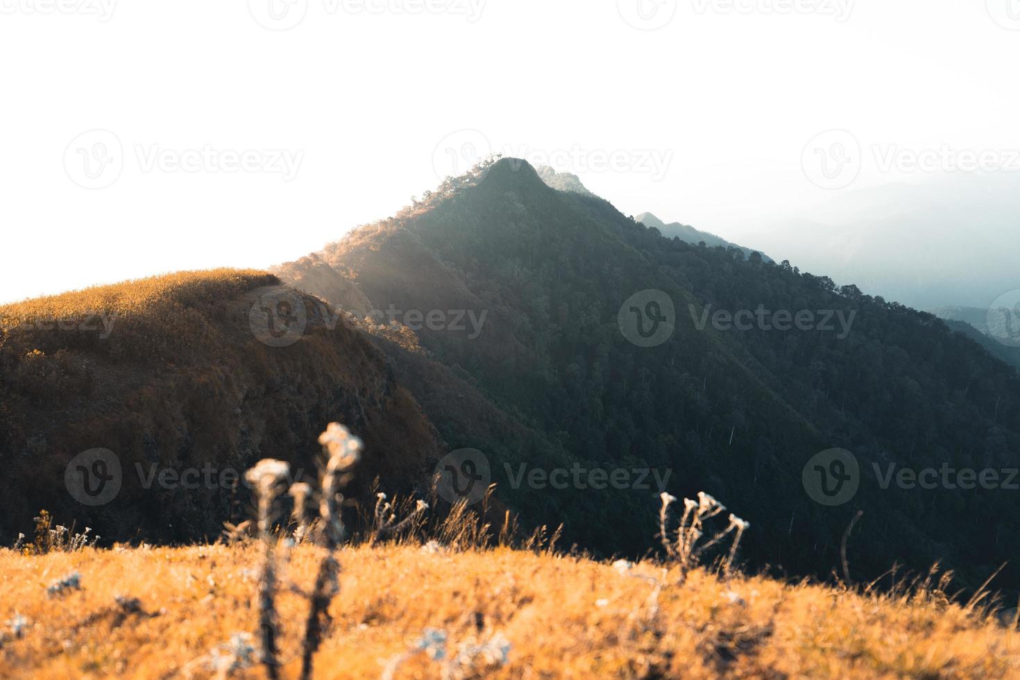 morning light and mountains,mountains in summer morning and spring flowers photo