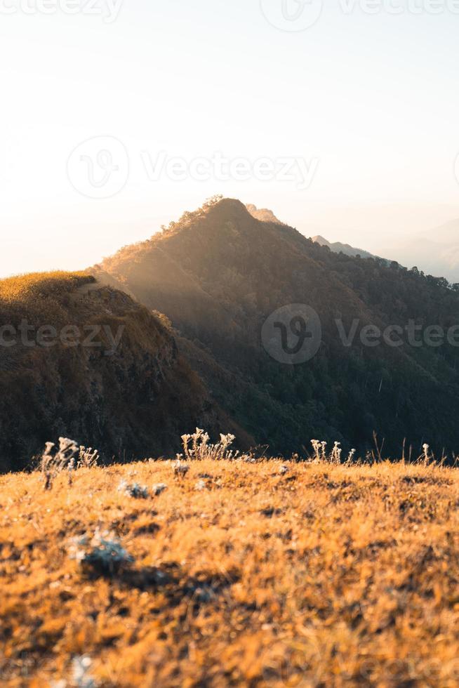 morning light and mountains,mountains in summer morning and spring flowers photo