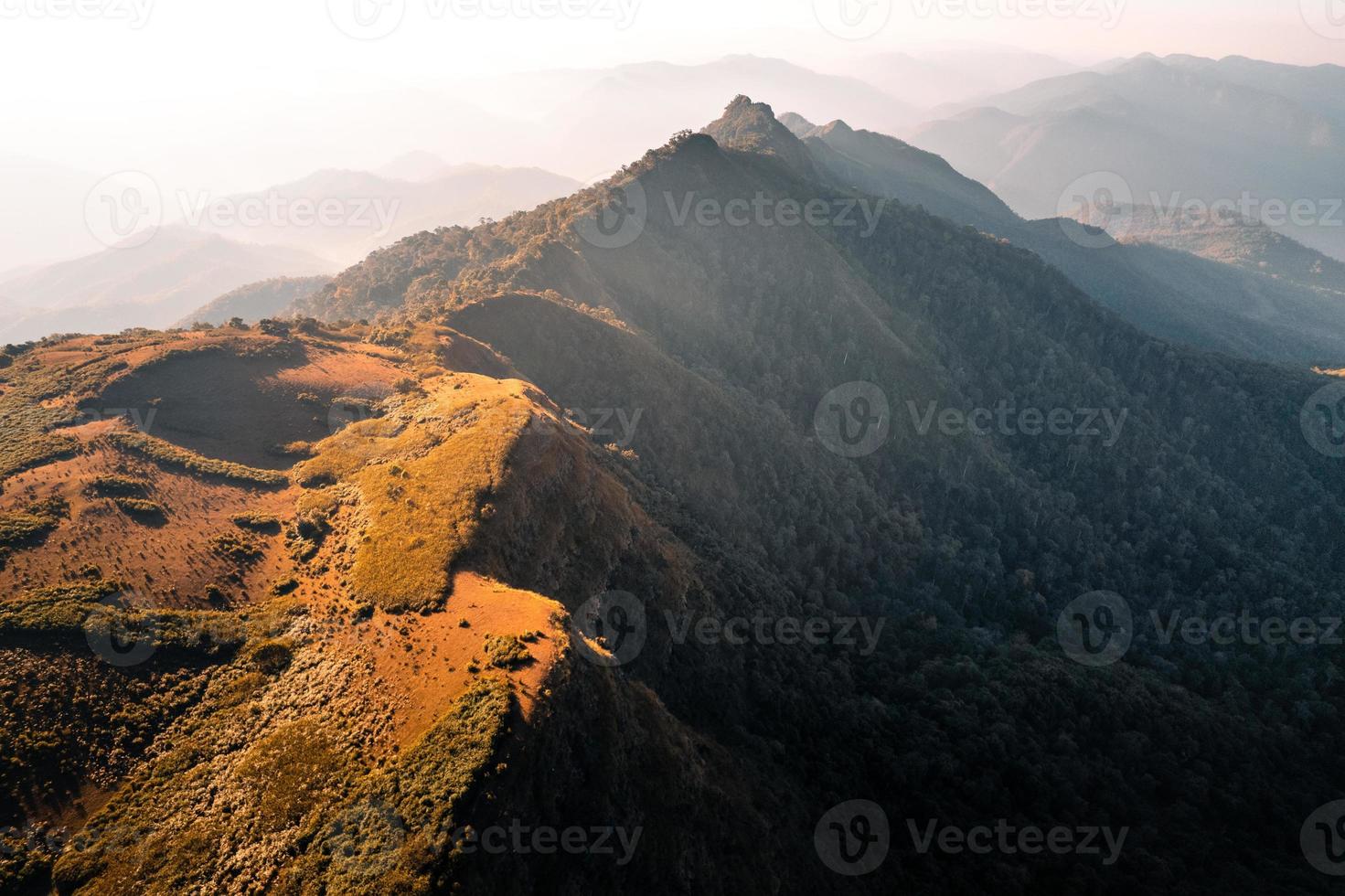 morning light and mountains,mountains in summer morning and spring flowers photo
