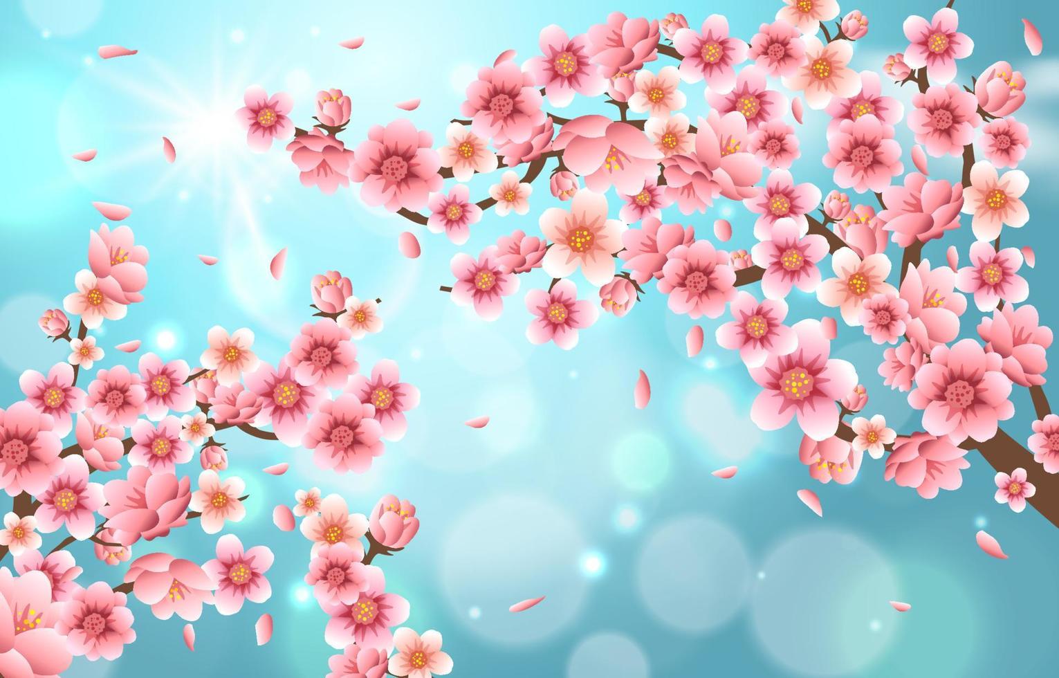 Cherry Blossom Background vector