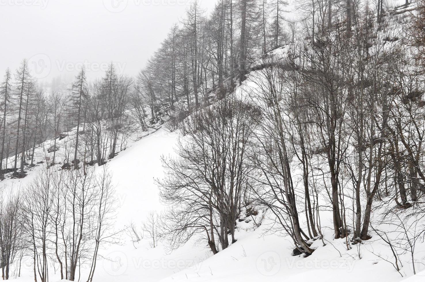 View of Balme, Aosta Valley photo