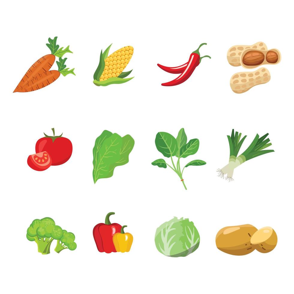 establecer ilustración de verduras vector