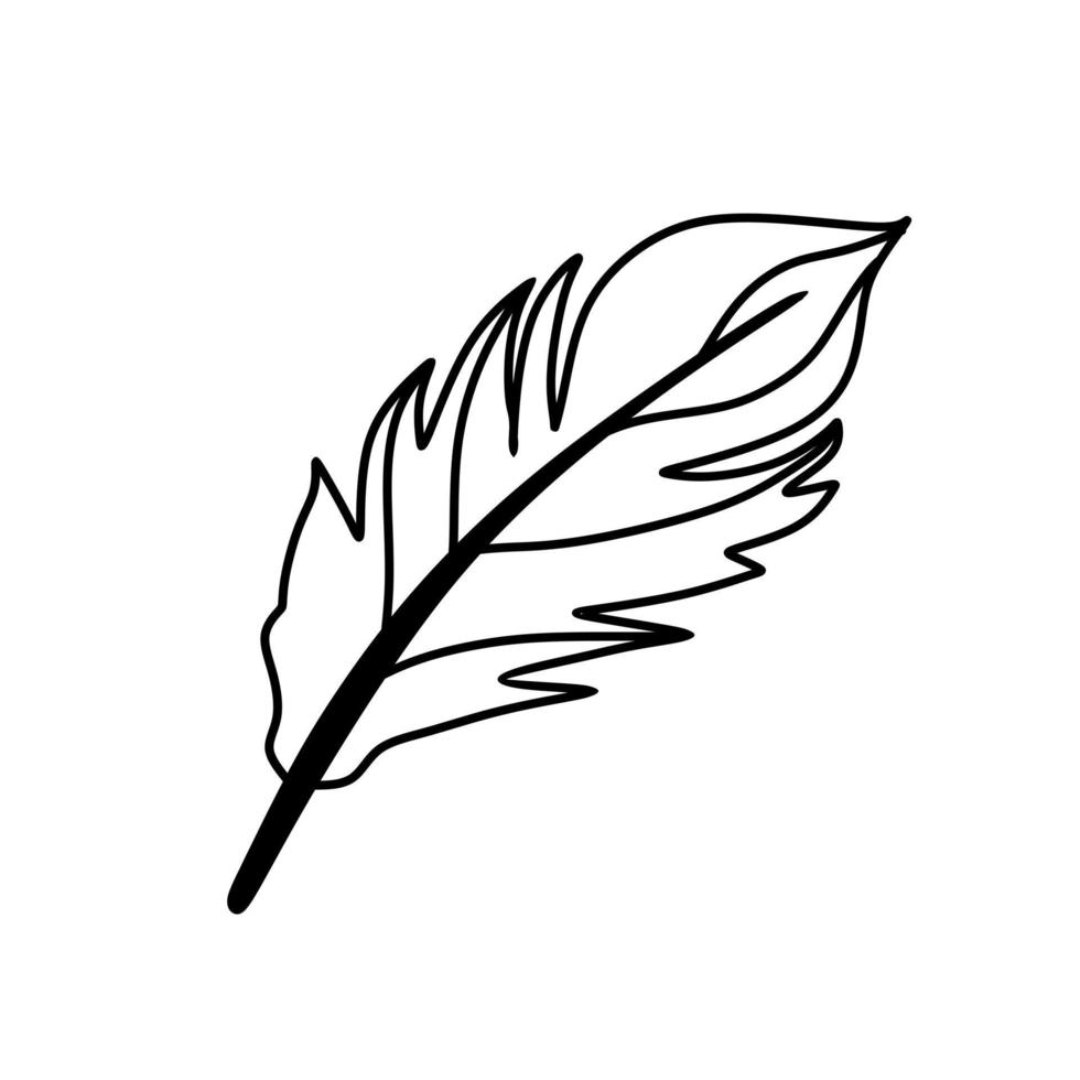 Feather. Magical symbols doodles esoteric boho mystical hand - drawn elements stone crystals . Magical vector elements