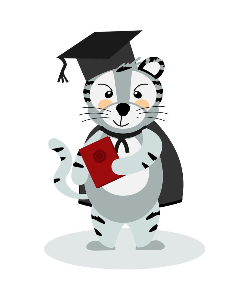 A cheerful striped Bengal tiger in a robe and a Confederate jacket with a diploma, the symbol of 2022. Vector illustration, isolated on a white background, drawn by hand. For printing children's