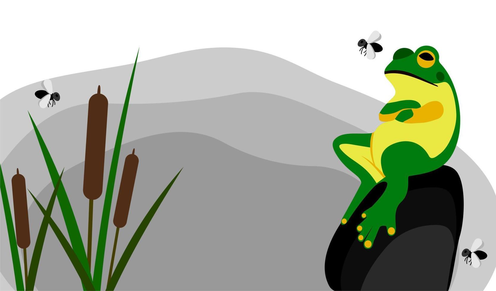 An important frog sits on a rock near a swamp vector