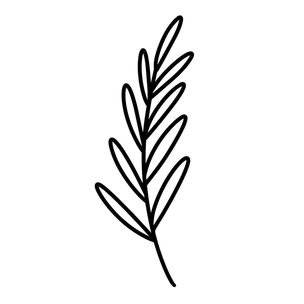 ramita con icono de vector de hojas. ilustración dibujada a mano aislada sobre fondo blanco. contorno de rama con follaje ovalado, boceto botánico simple. imágenes prediseñadas de plantas naturales para decoración, diseño de postales