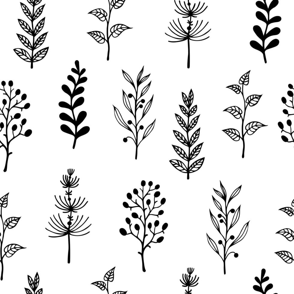 ramas y hierbas patrón de vector transparente. elementos botánicos dibujados a mano sobre un fondo blanco. ramitas con hojas y bayas. boceto de plantas de campo. siluetas negras de flores y hierba.