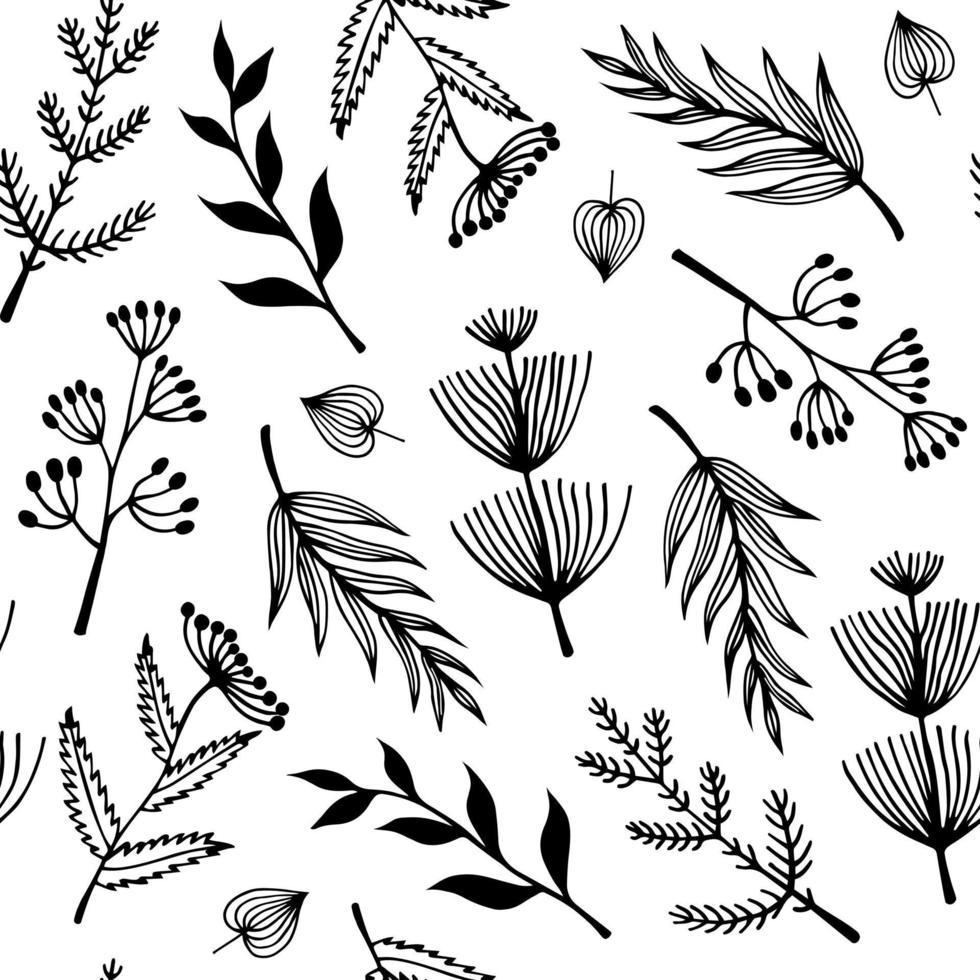 Flowers and wild herbs seamless vector pattern. Hand-drawn doodles on a white background. Branches with leaves, flowers with inflorescences and berries. Botanical sketch. Monochrome backdrop.