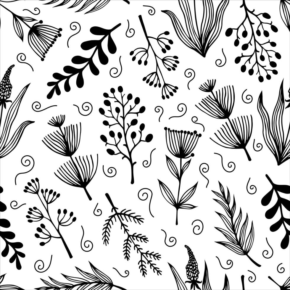 campo hierbas y flores patrón de vector transparente. garabatos dibujados a mano sobre un fondo blanco. plantas con inflorescencias y bayas, ramas con hojas y semillas. telón de fondo natural monocromático.